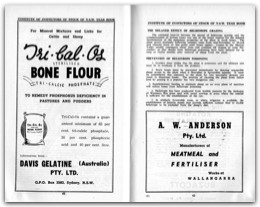 1954 Page 42 43